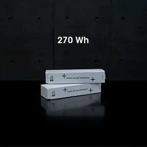 e-SUP_Battery_medium_270.webp